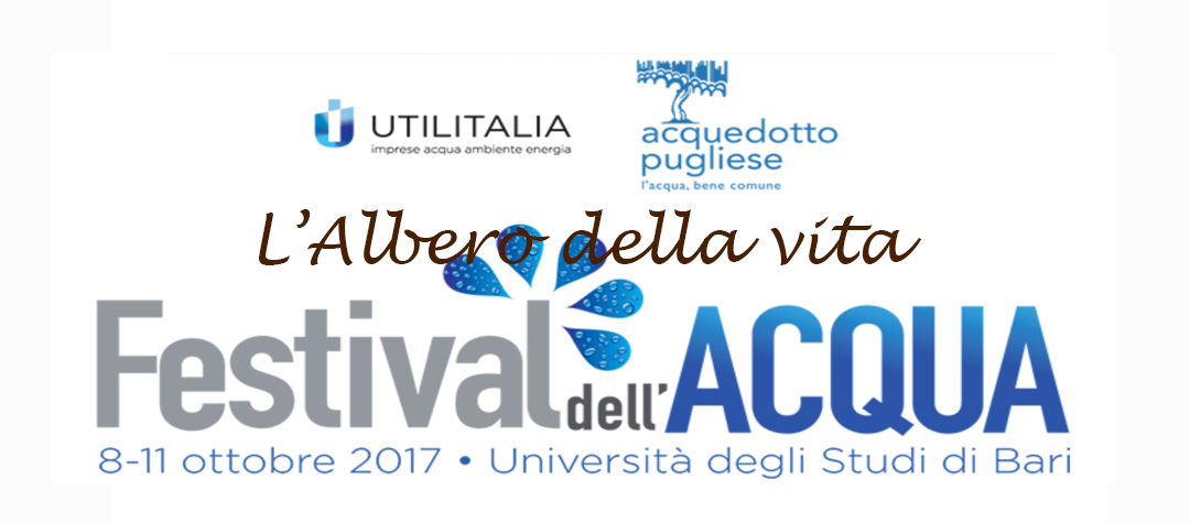 Festival dell’Acqua