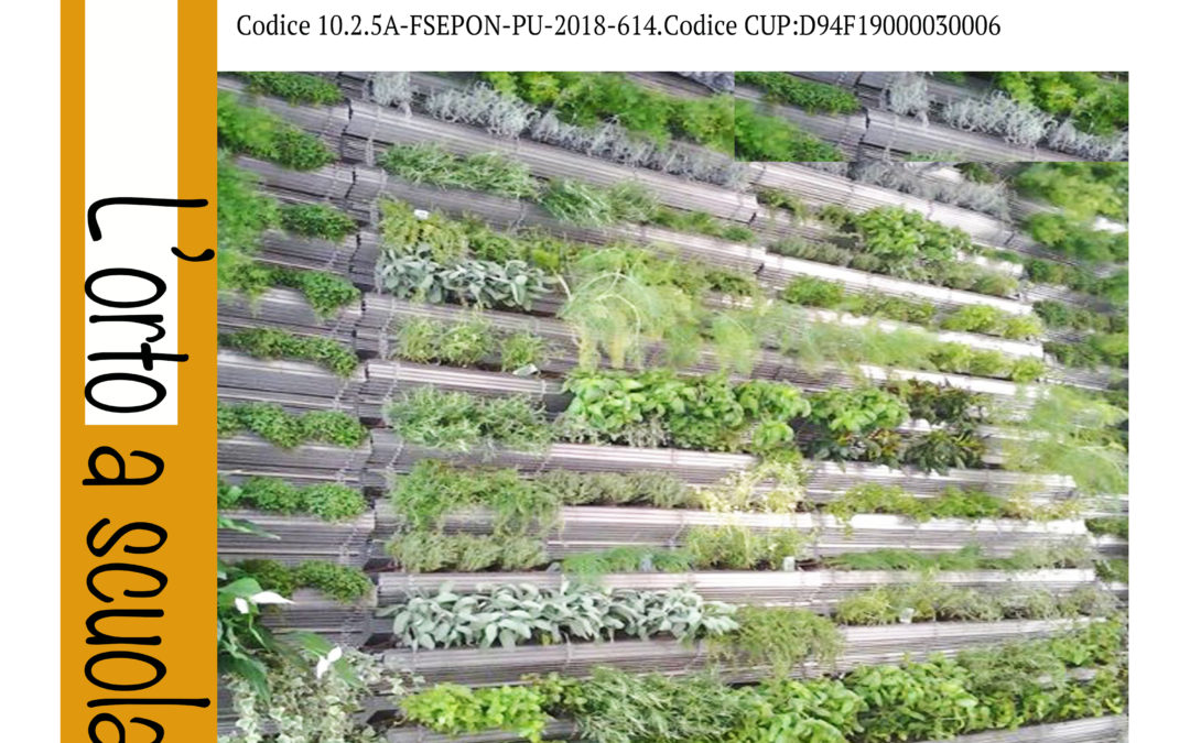 Progetto PON 2019/2020: L’orto a Scuola