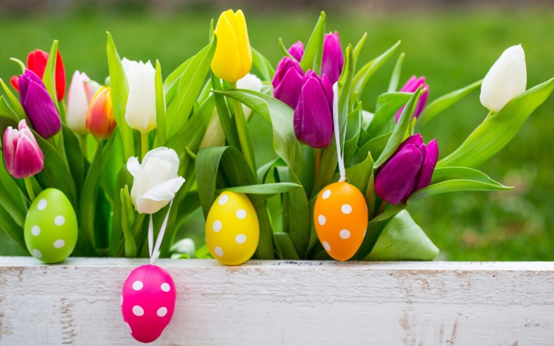 Vacanze pasquali dall’1 al 6 aprile. Auguri !